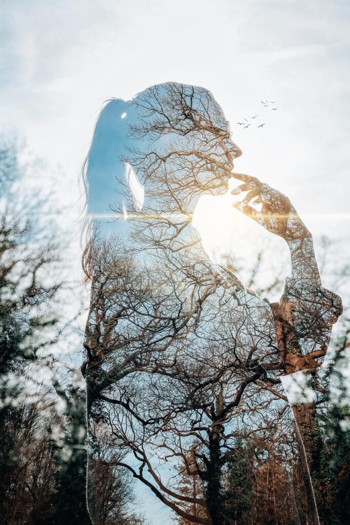 Home nature, forest, girl, woman, young, female, person, sunlight, forest, forest, girl, girl, girl, girl, girl, female, female, person, person, sunlight